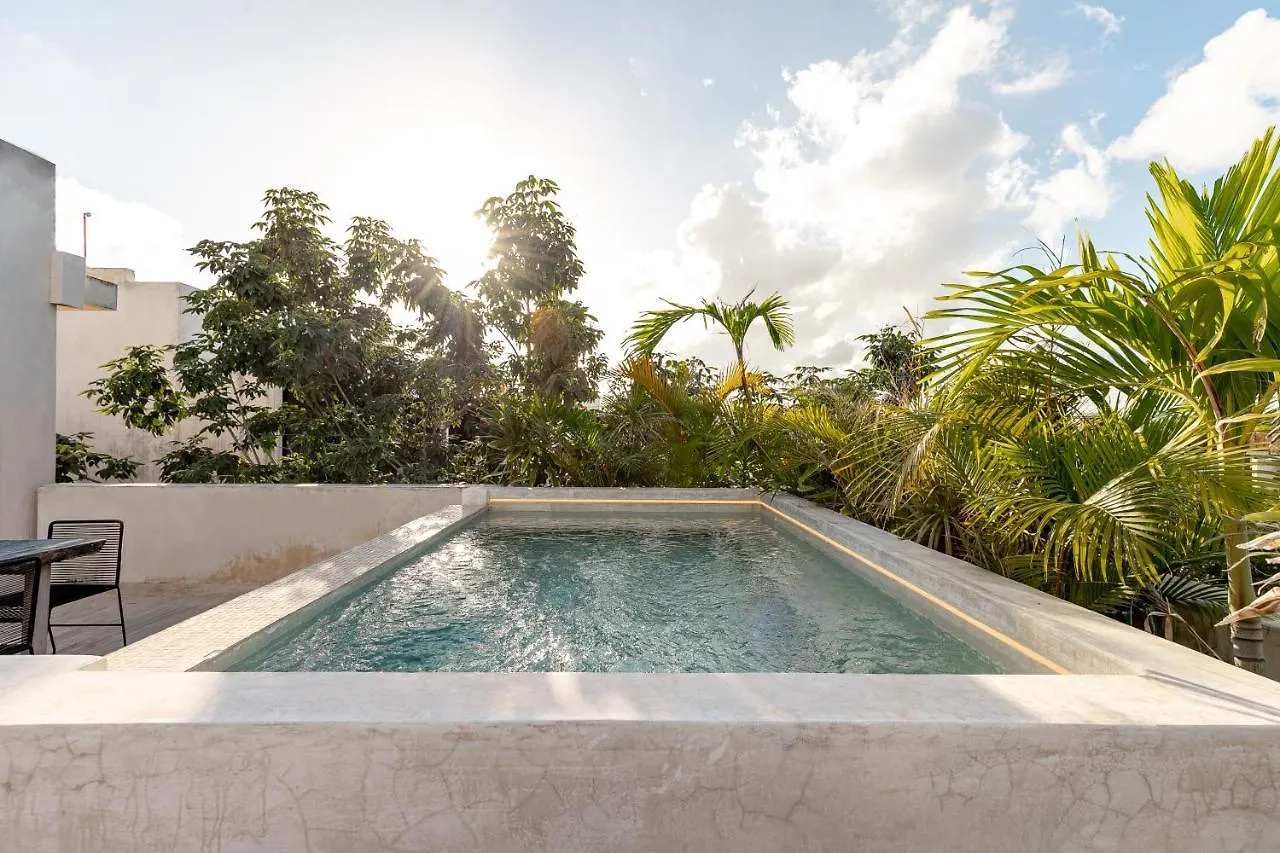 407 Stunning Penthouse Apartment For 2 Tulum